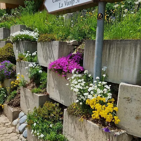 شقة Chesa Bellaval, Haus Chamuotsch 3 1 2-zimmerwohnung *